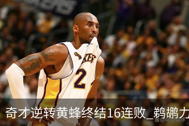 奇才逆转黄蜂终结16连败 鹈鹕力克76人3连胜